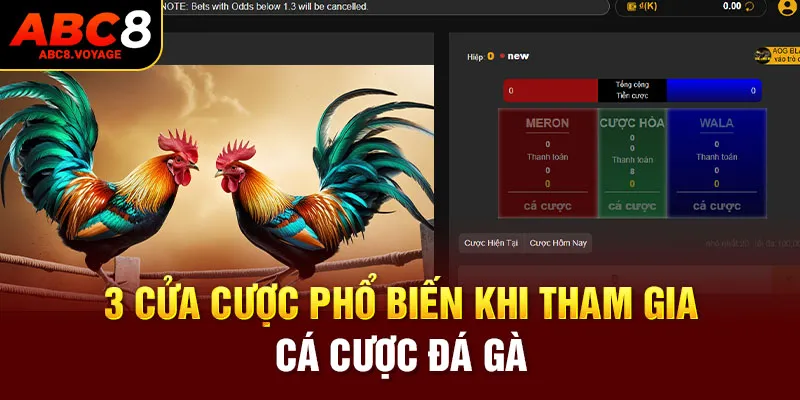 3 cửa cược phổ biến khi tham gia chơi cá cược đá gà